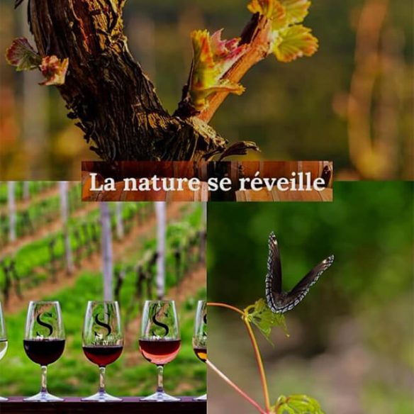 insta-la-nature-se-reveille